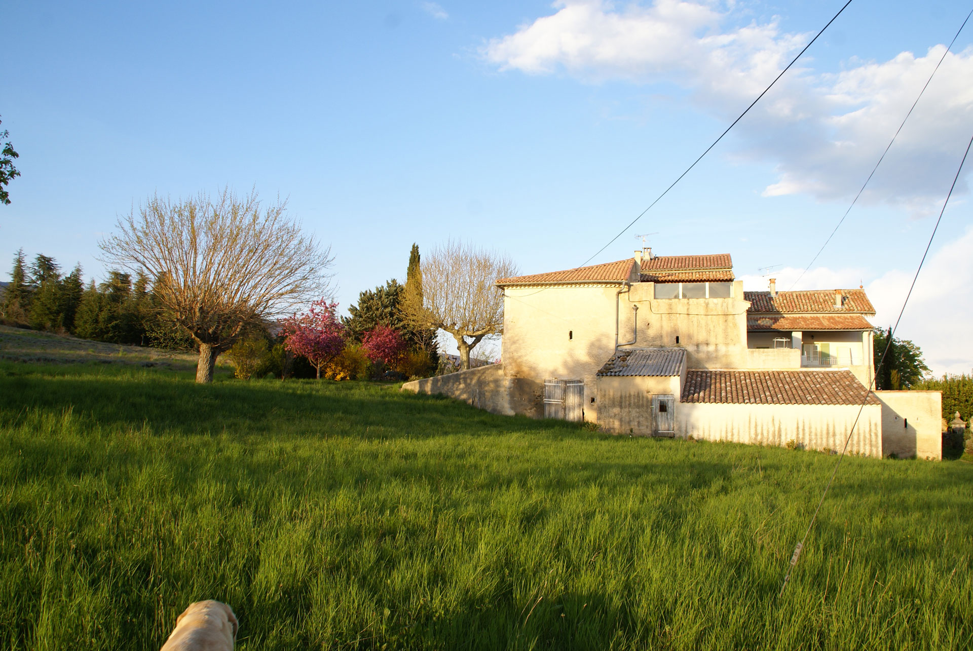 Vue ouest du gîte provençal Le Bruset