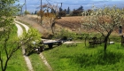 Vue ouest du gîte provençal Le Bruset avec un tracteur