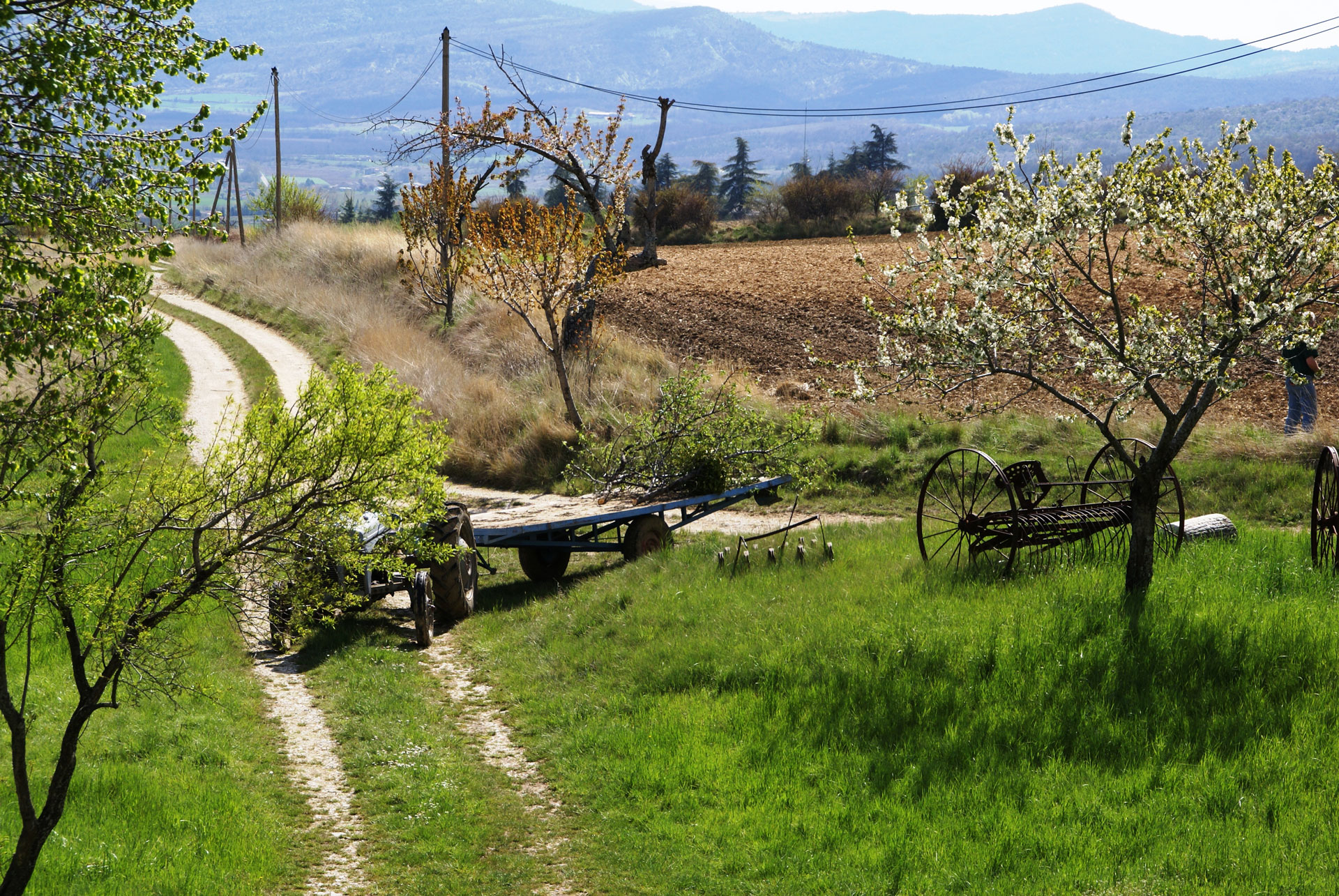 Vue ouest du gîte provençal Le Bruset avec un tracteur