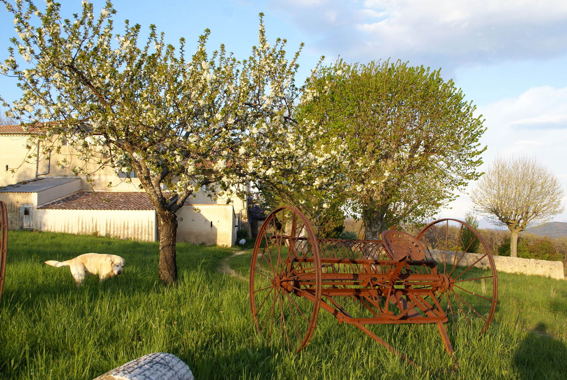 Vue ouest du gîte provençal Le Bruset